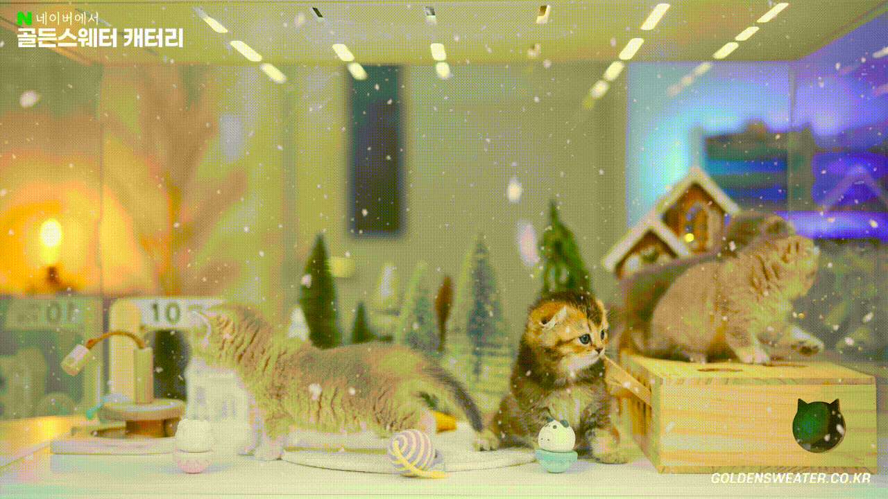 3413d6c6e1a82.gif
