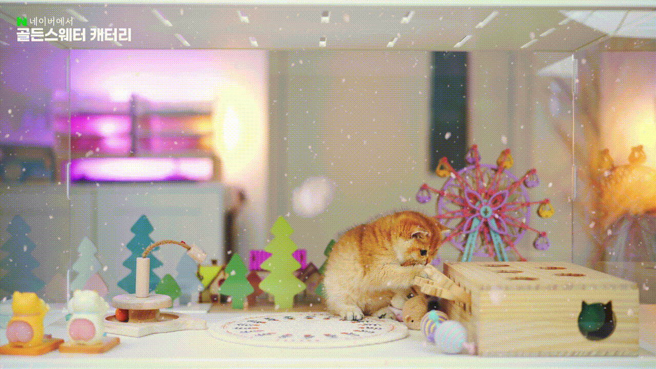 40a5812849f8b.gif