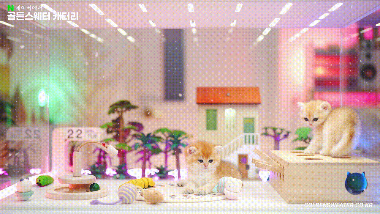 540b64f7d42ed.gif