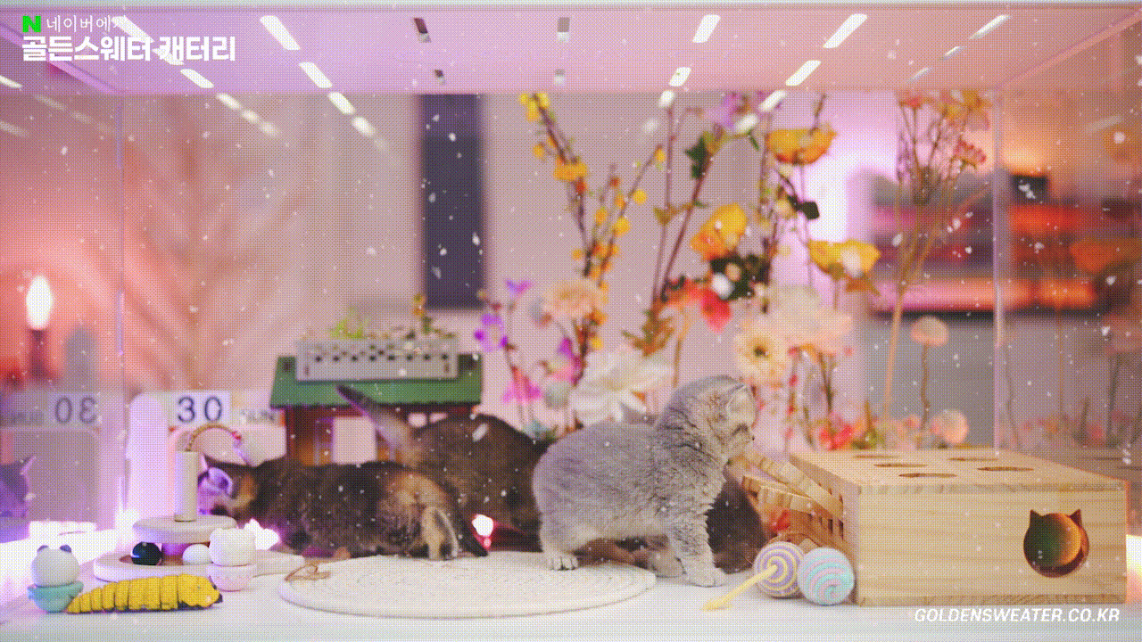 59d2c25d76fc9.gif
