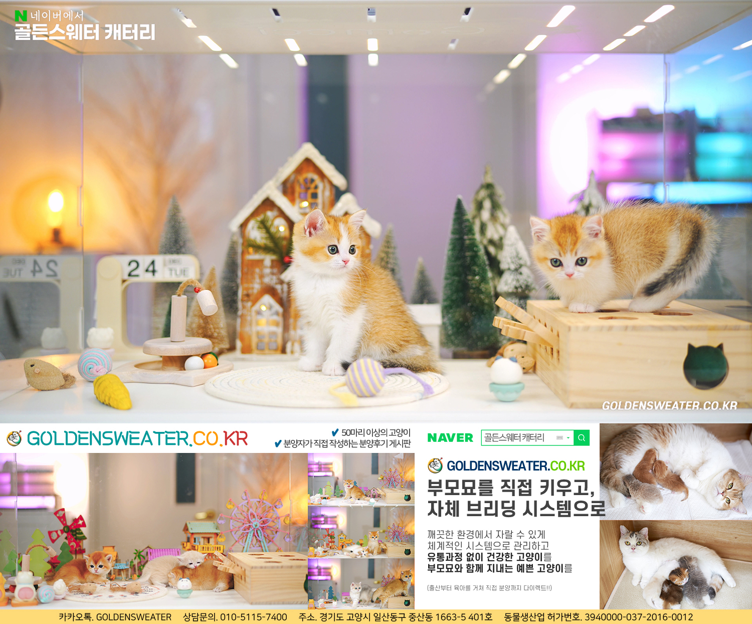 6bd22d530ed9e.jpg