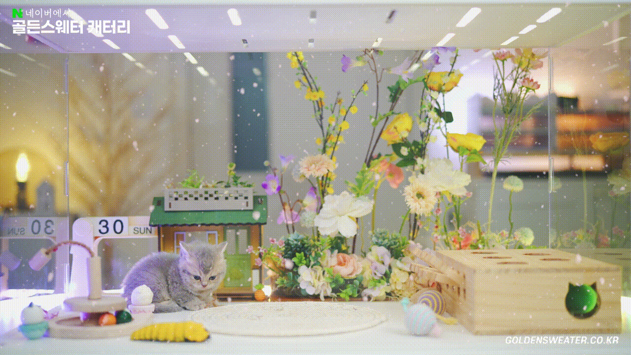 6fab621203629.gif