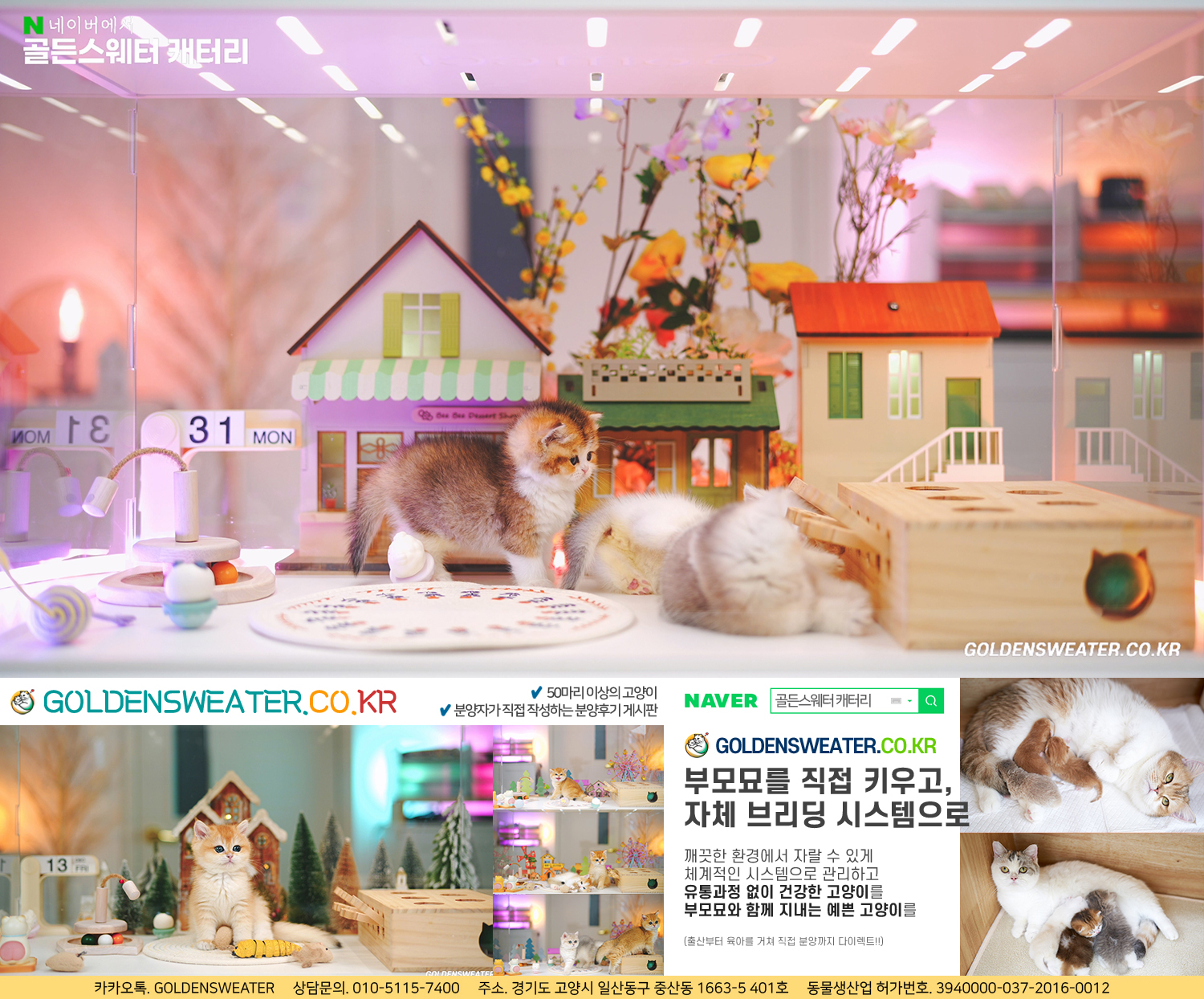 7d59164be89ca.jpg