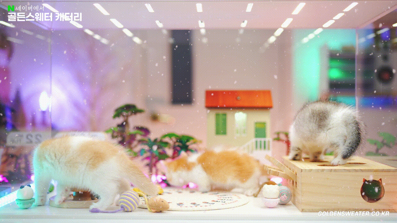 89c1a5200768b.gif