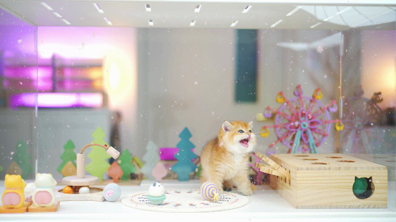 a563577166a69.gif