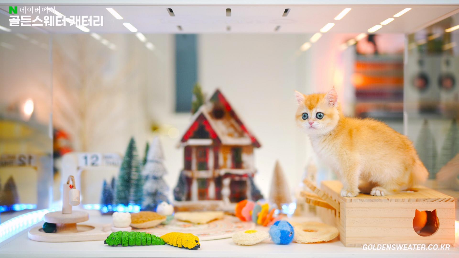 aee232b350c52.jpg
