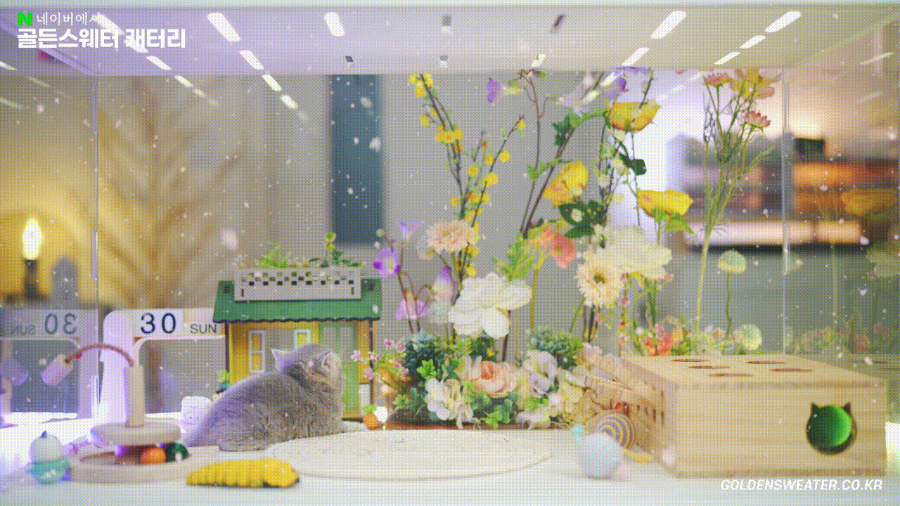 b1f255d542c4b.gif