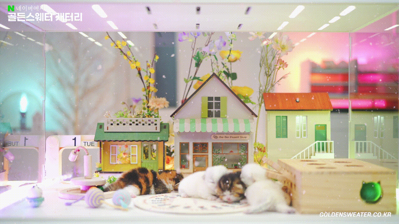 b6687f13e924c.gif