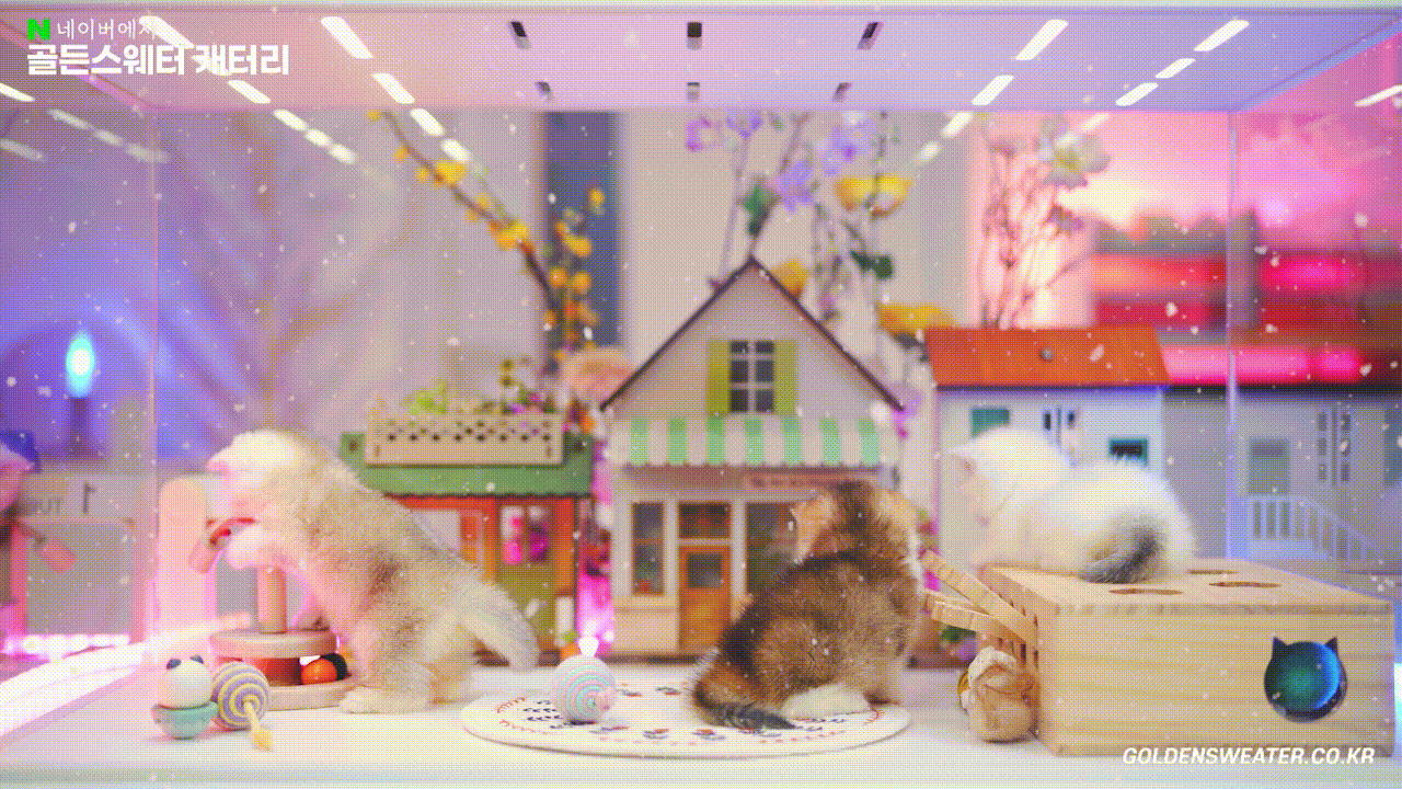 c2fbe4d7bd2e2.gif