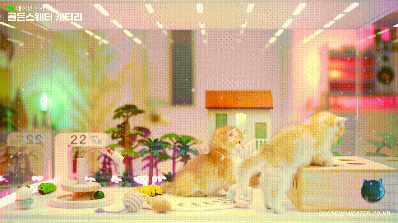 d041ab241741e.gif