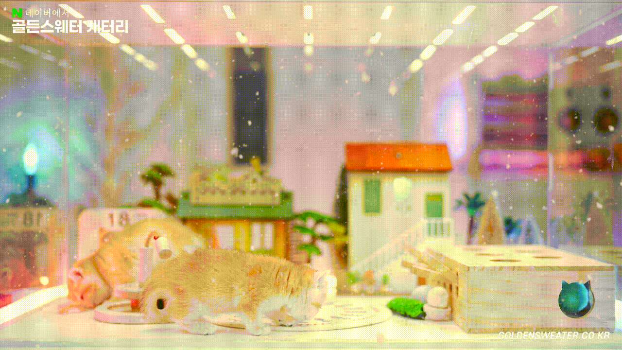 d0df227b29e84.gif