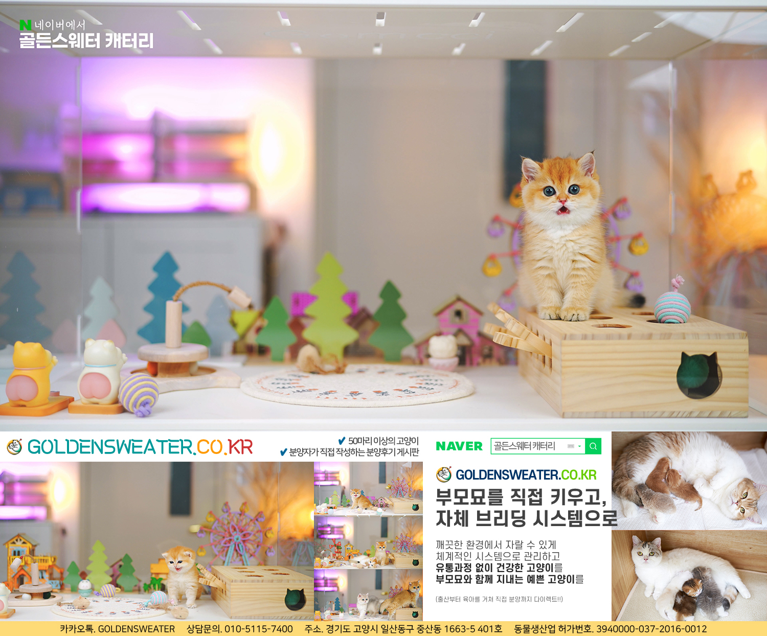 d2bbb9143f779.jpg