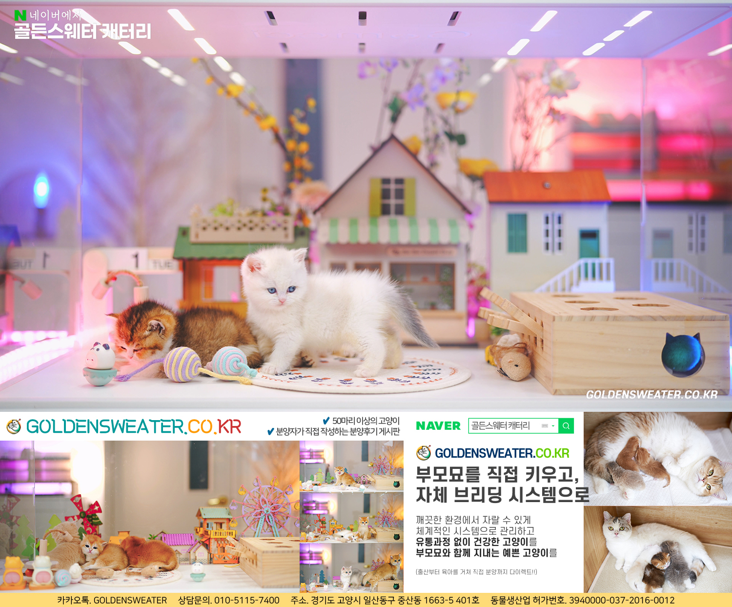 ef5ad5b384d57.jpg