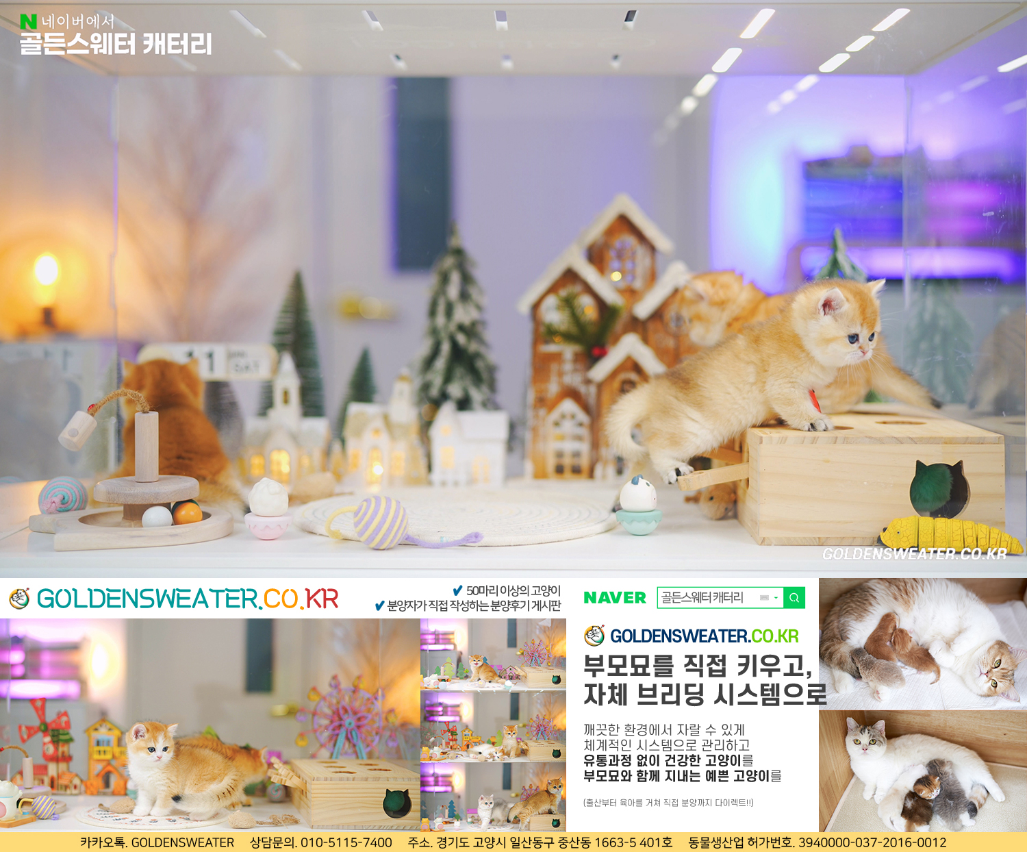 f0abce3603924.jpg