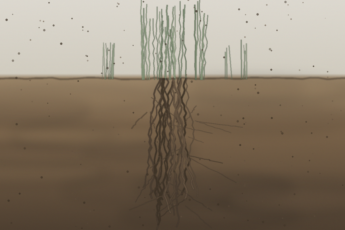 60a4db01c4233.png