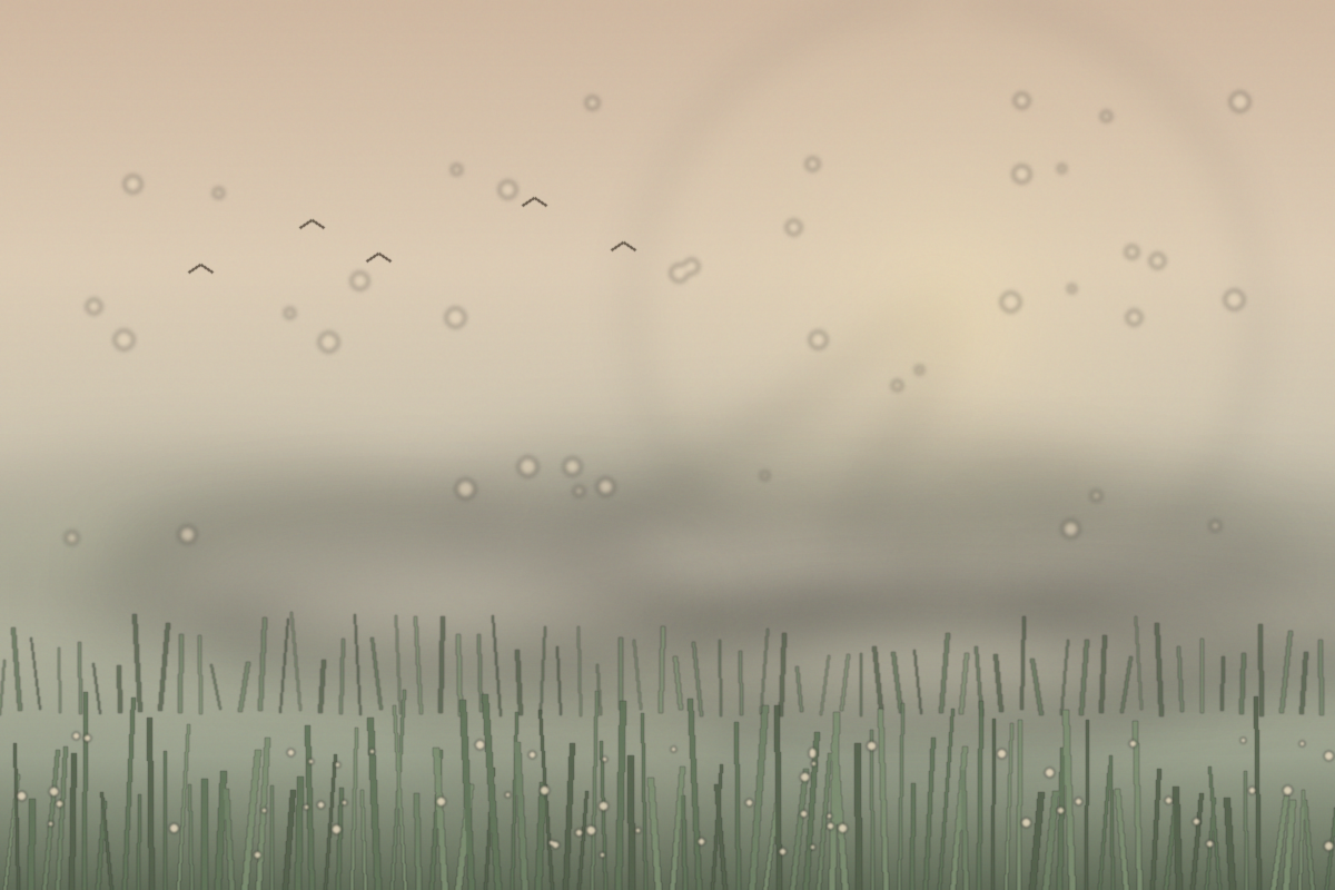 79f81a5723cbb.png
