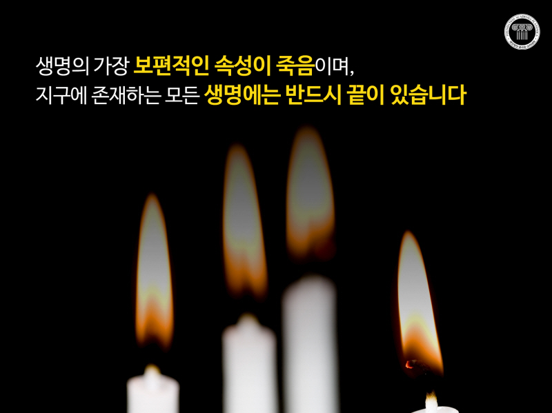 _20171211140919.jpg