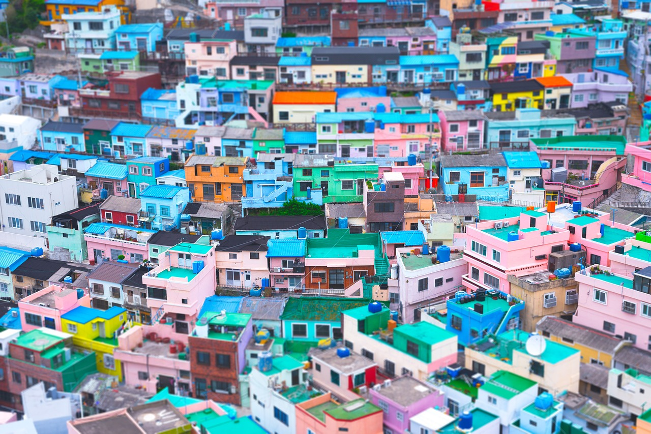 dded309e32c4d.png