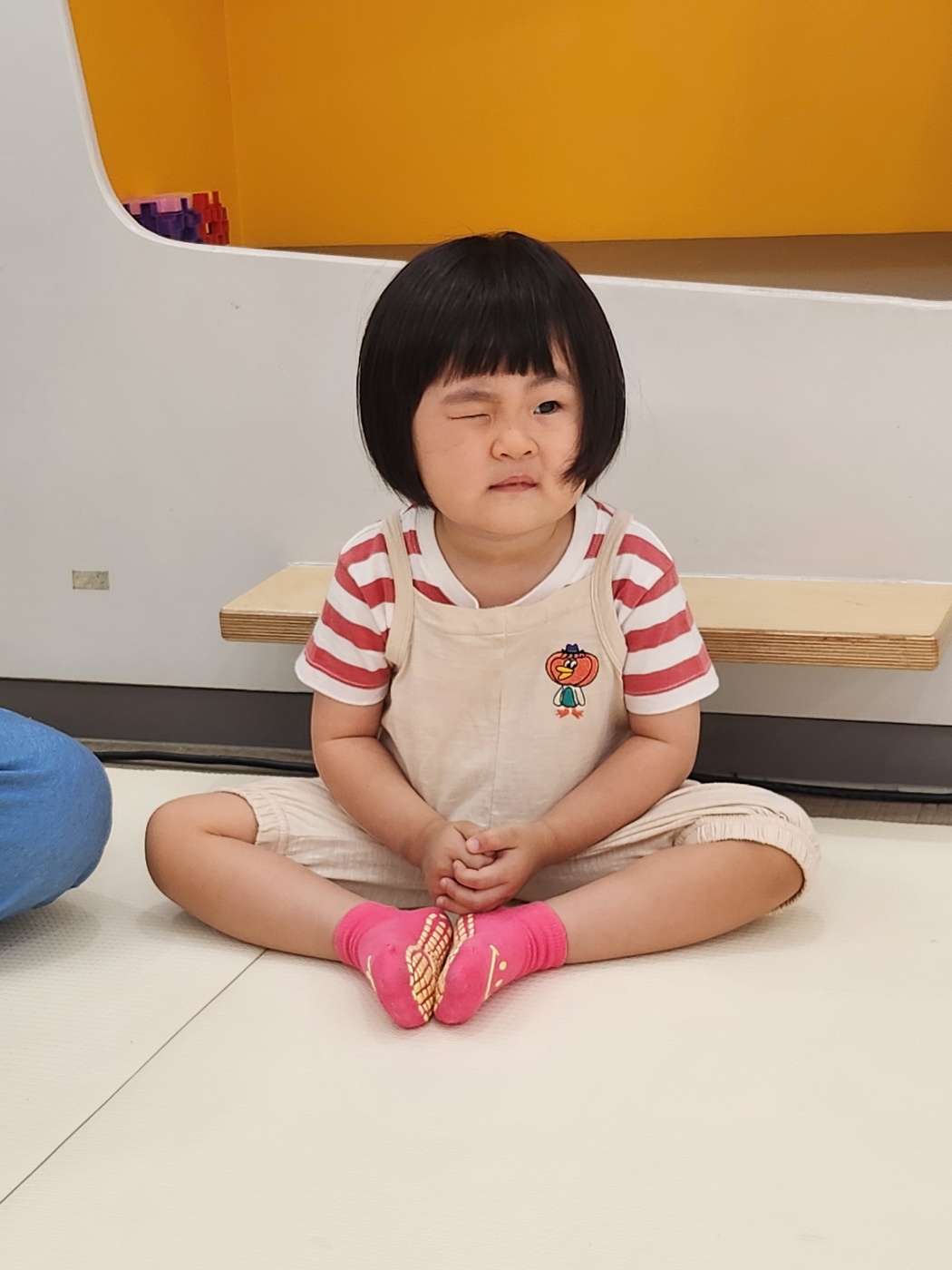 586a3f559ed9f.jpg