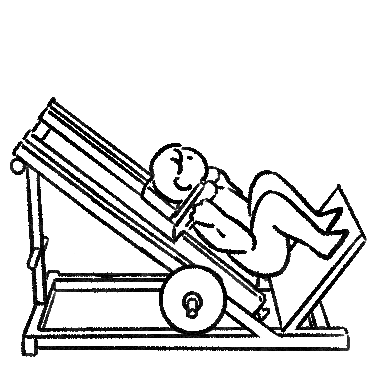 핵스쿼트(Hack Squat) 자세, 무게, 무릎, 사용법, 발 위치까지 운동 가이드