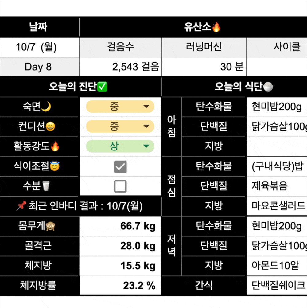 3대운동 평균