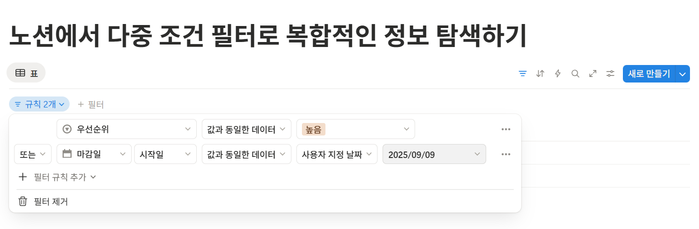 노션 다중 조건 필터