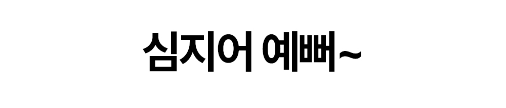 넘버스 가계부