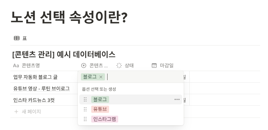 노션 선택 속성이란?