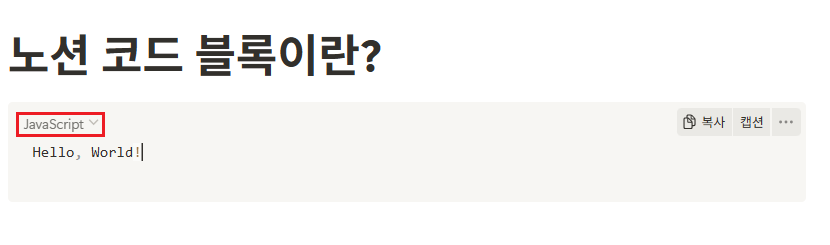 노션 코드(Code) 블록이란?