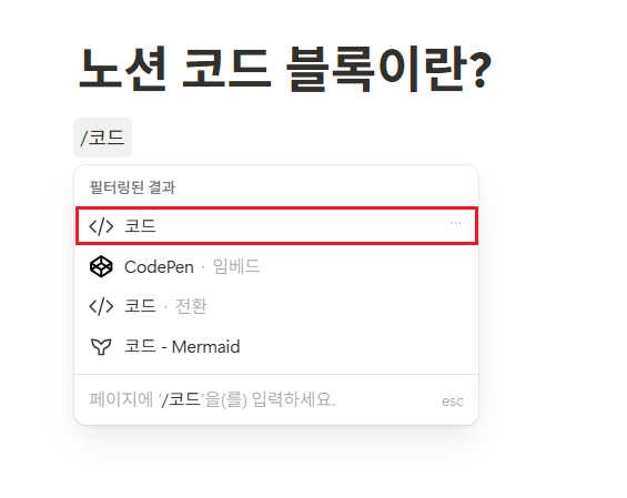 노션 코드(Code) 블록이란?