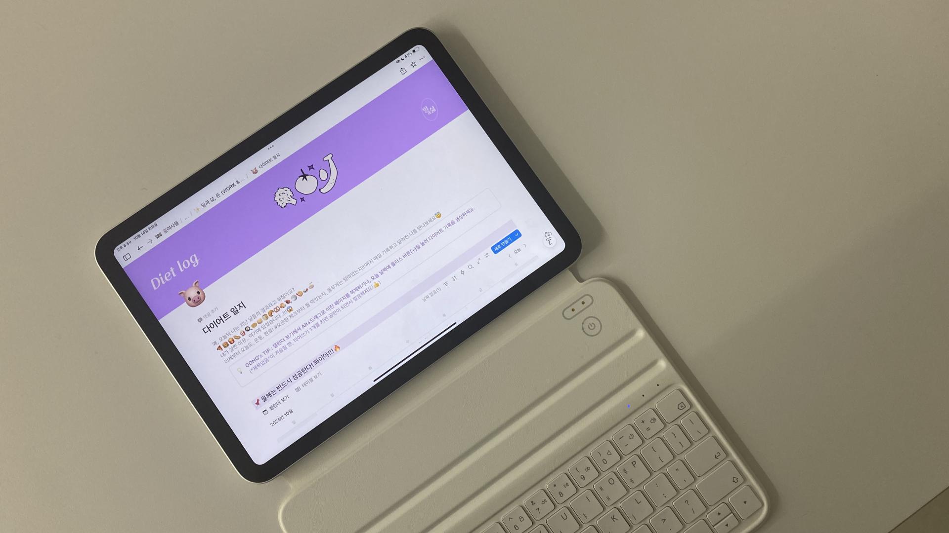 다이어트 플래너, 이런 분들에게 추천합니다