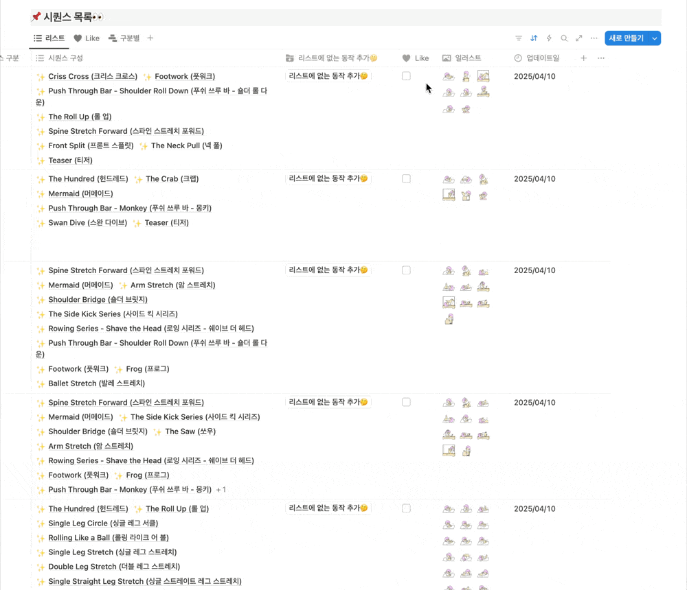 국제재활필라테스