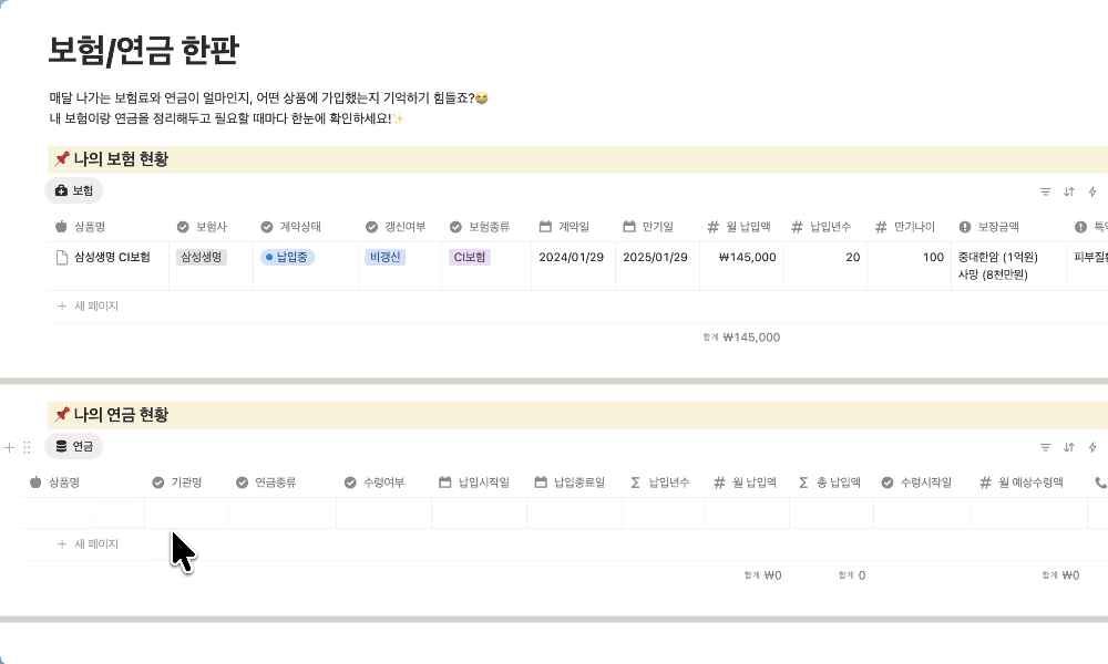 보험 연금 한판 노션 템플릿 사용 화면 예시