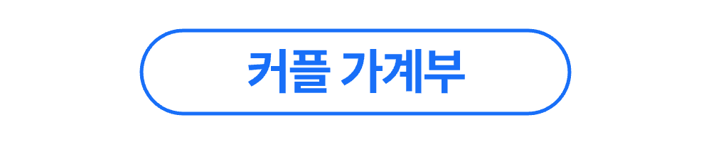 돈플래너 신혼부부 가계부 활용 안내