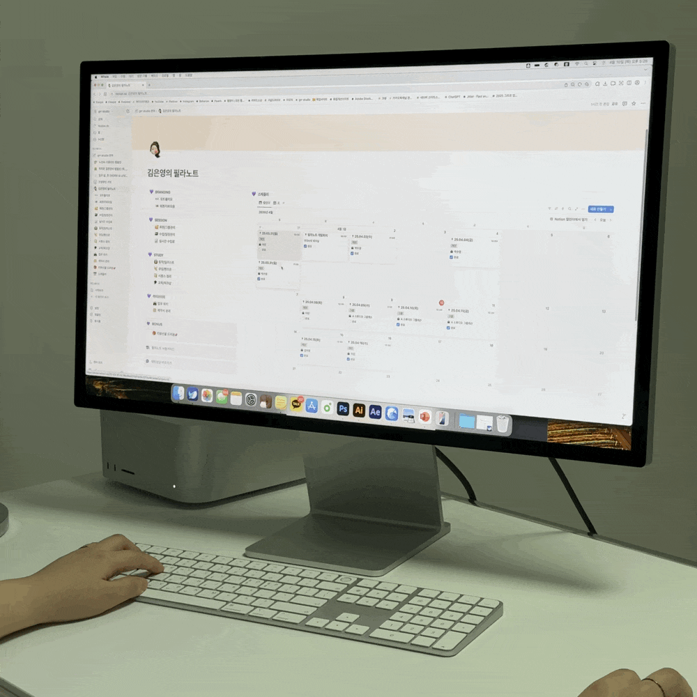 공여사들 필라노트