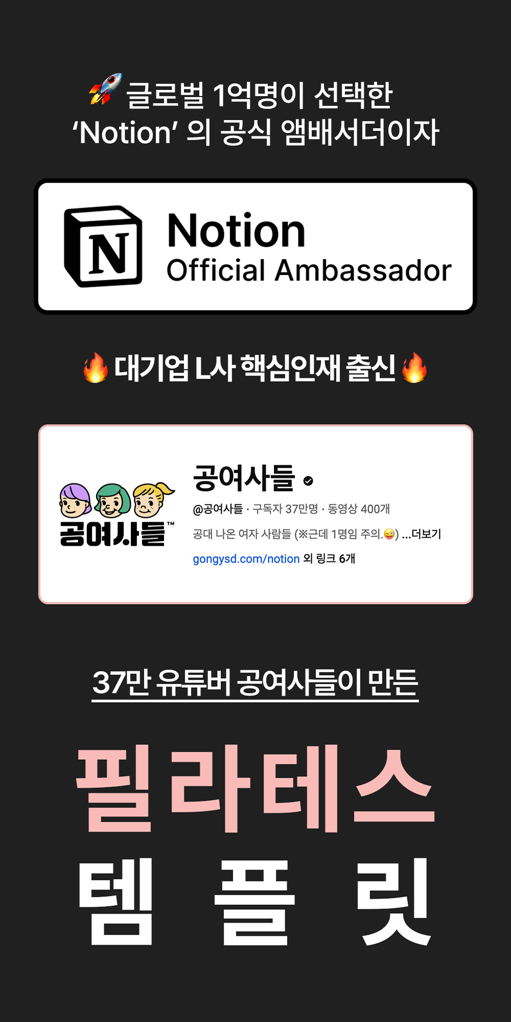 노션 공식 앰배서더가 만든 필라노트 안내 이미지