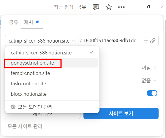노션 웹사이트 게시 도메인 수정