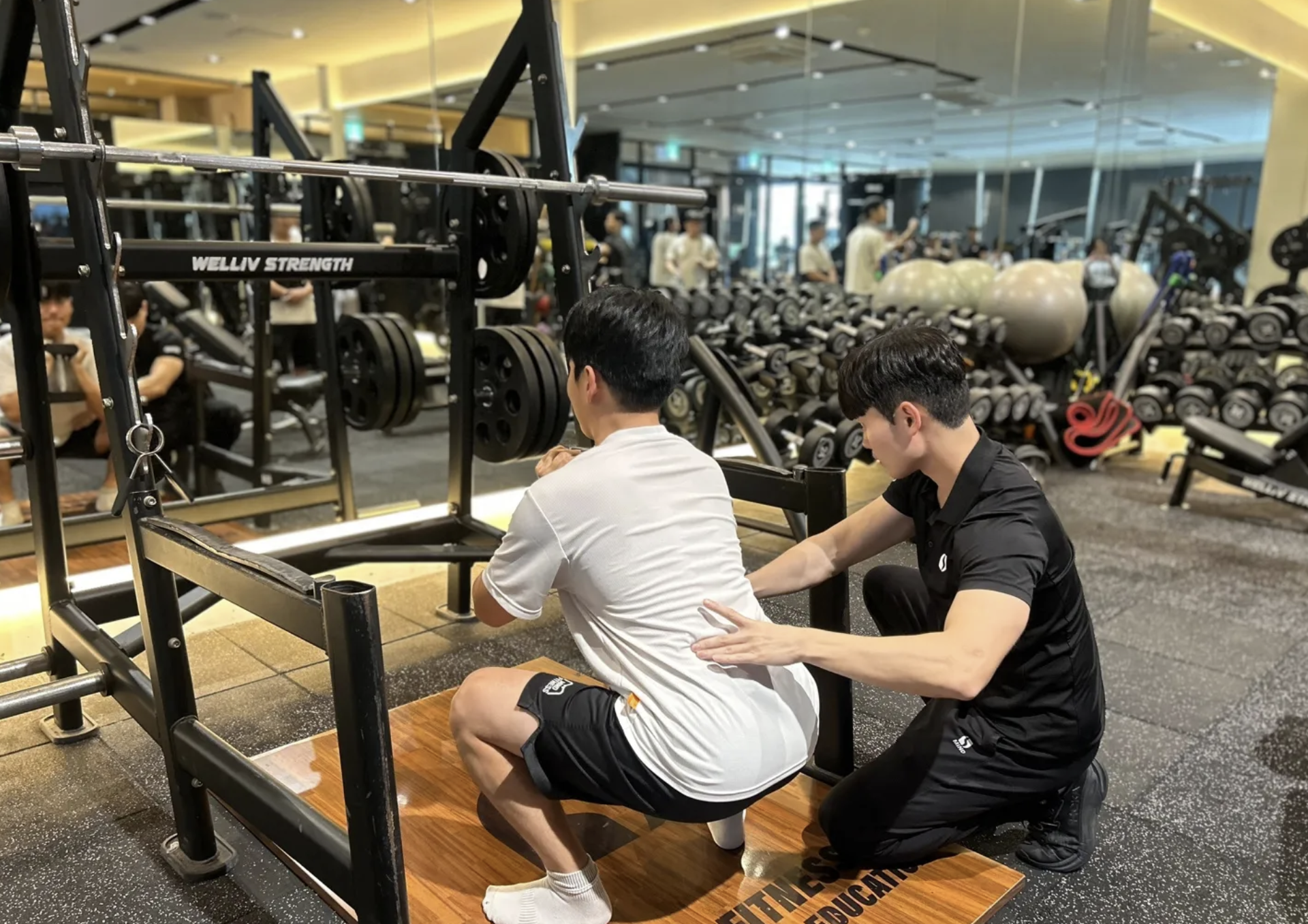 제주 PT 추천 (재활, 회복 전문 / 초보자 맞춤형 / 강한범 트레이너)