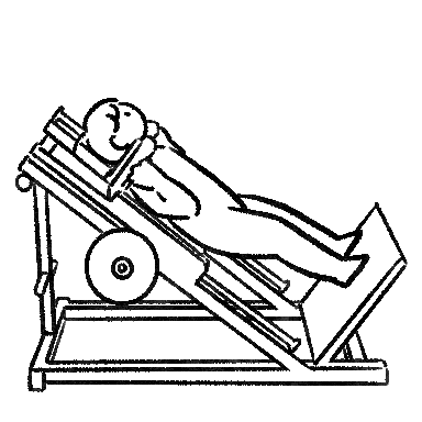 핵스쿼트(Hack Squat) 자세, 무게, 무릎, 사용법, 발 위치까지 운동 가이드