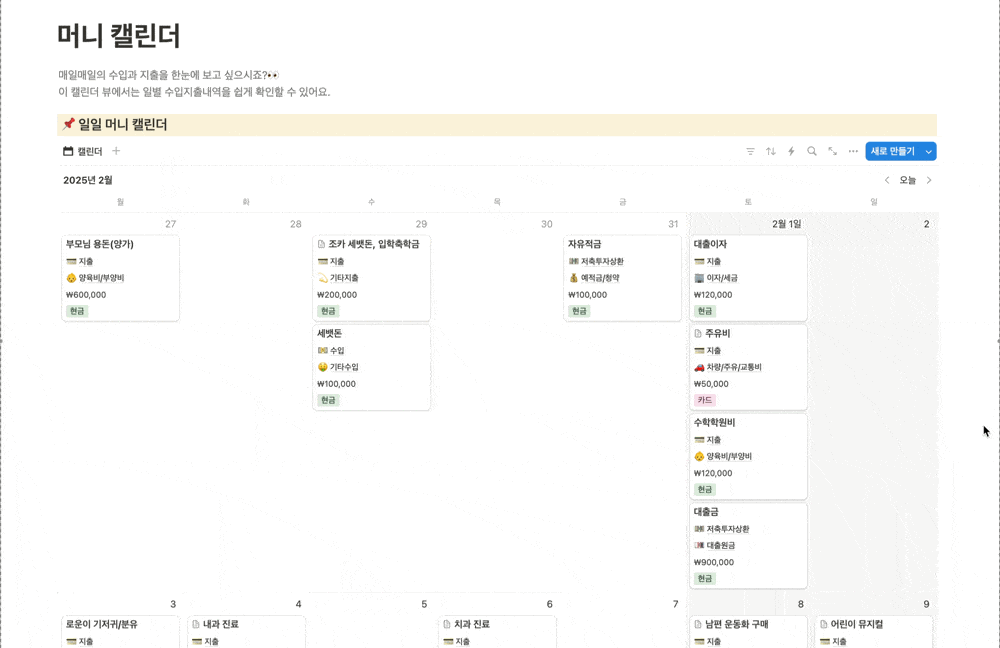 돈플래너 머니 캘린더 월간 조회 화면 예시