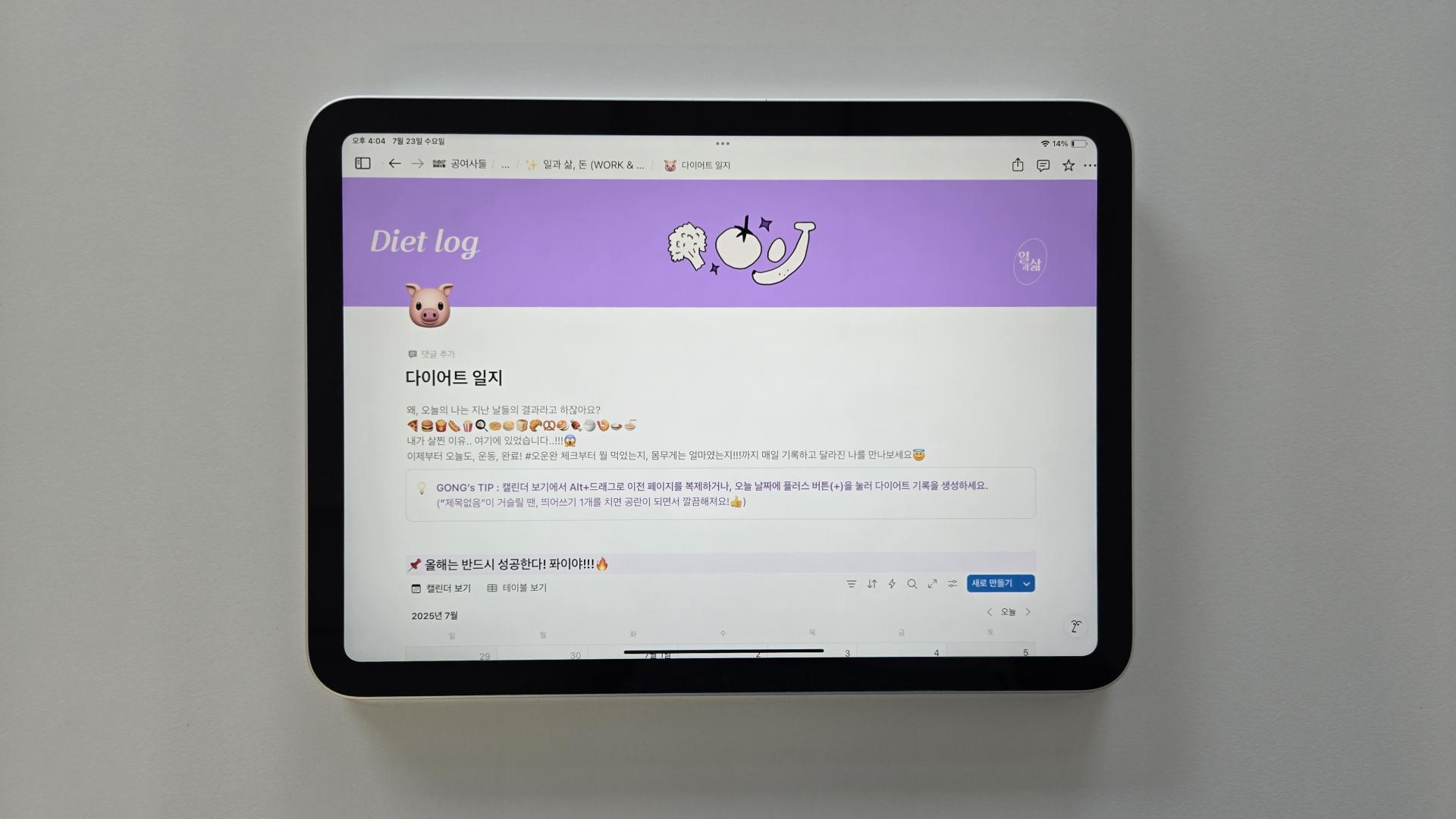 노션 다이어트 일지, 왜 효과적일까?