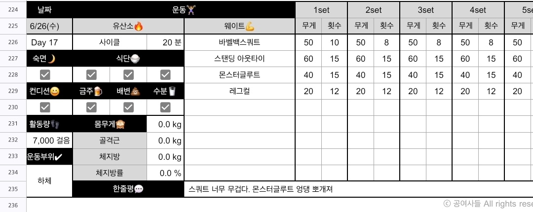 3대 500 운동일지 중량 세트 반복 기록