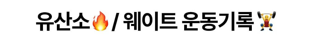 유산소와 웨이트 운동기록 섹션 제목