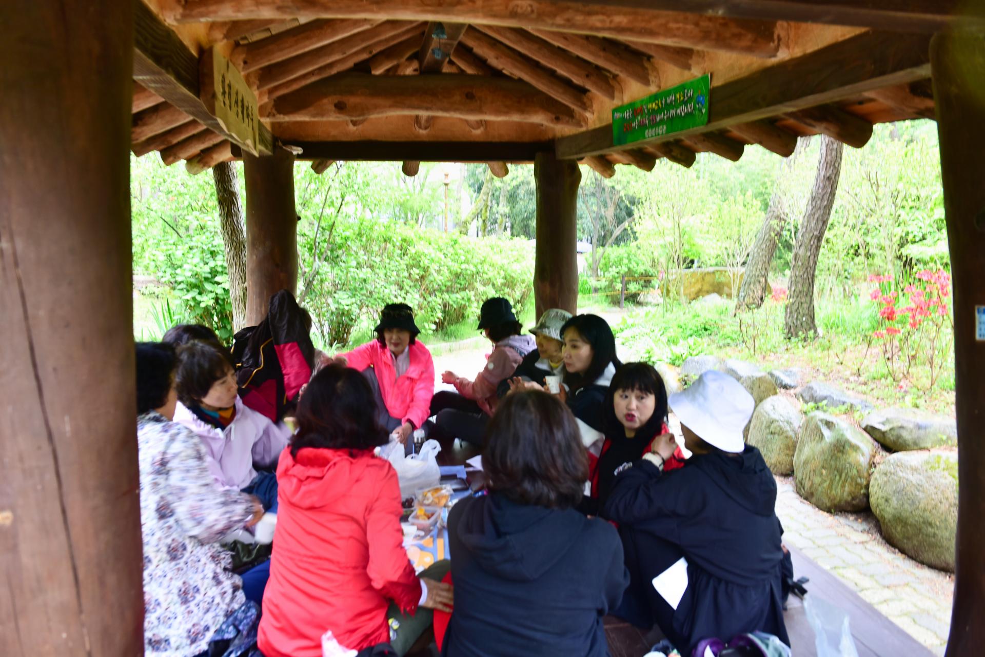 45059fe979d7d.jpg