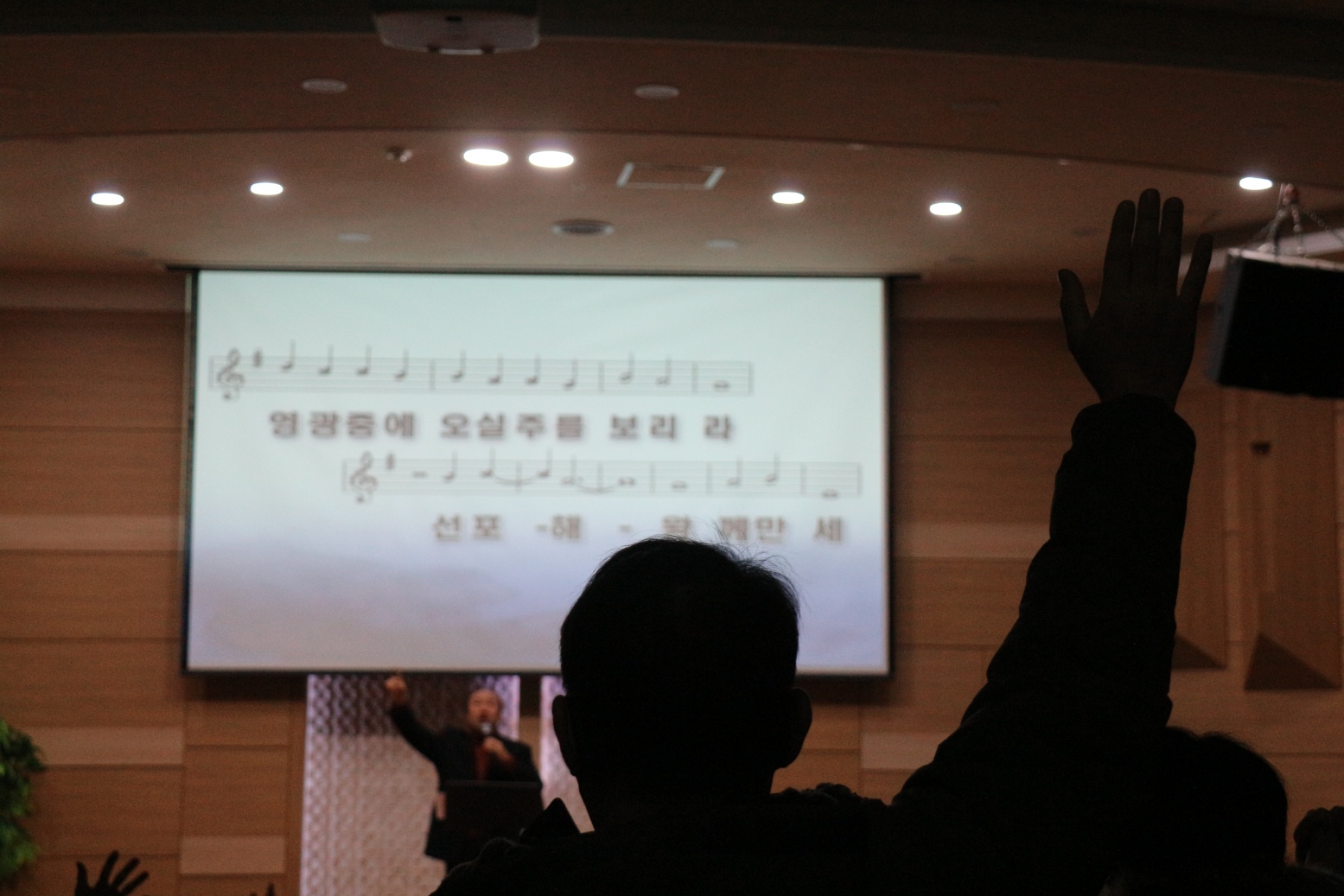 6a563139f39db.jpg