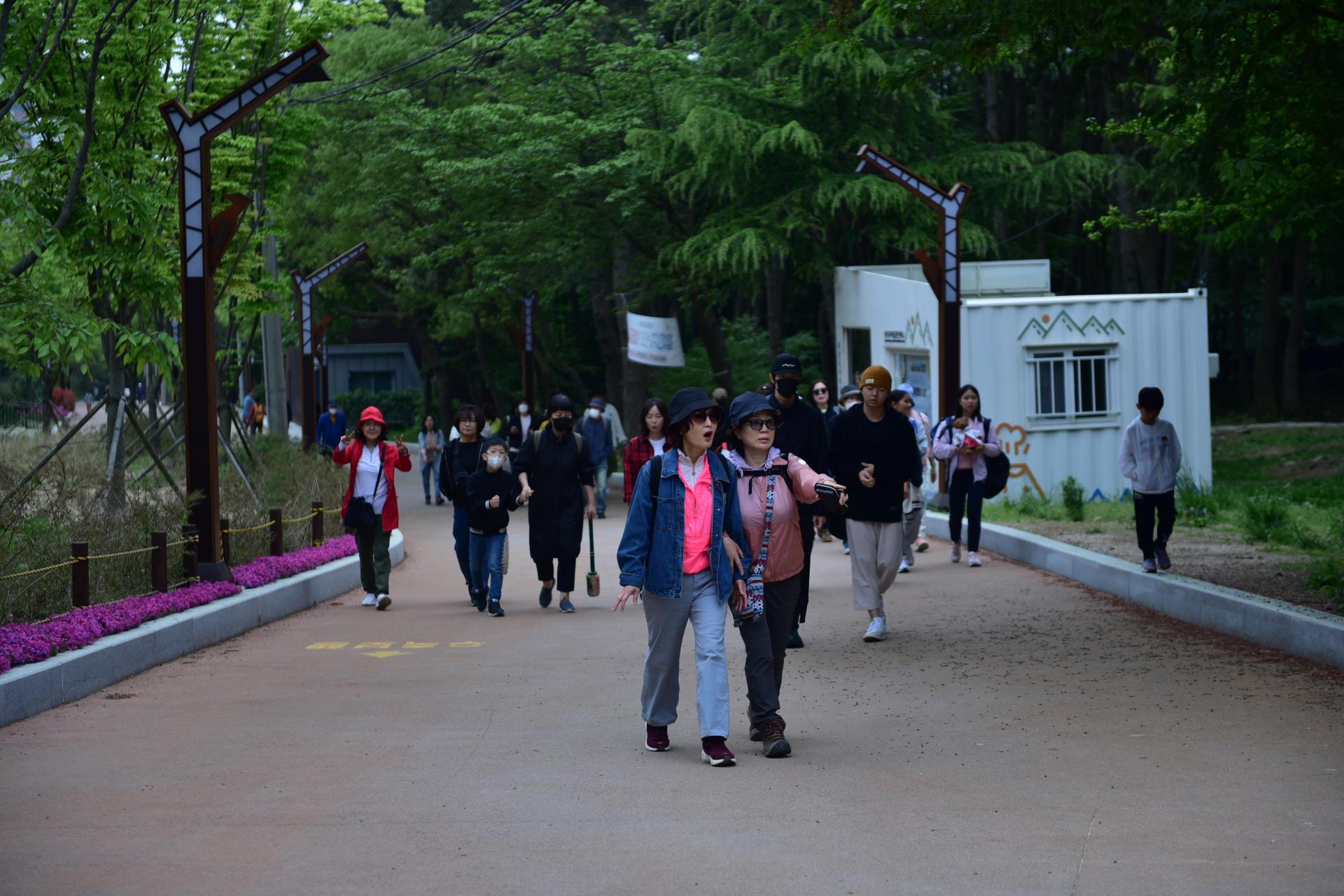 d5aa2df85a511.jpg