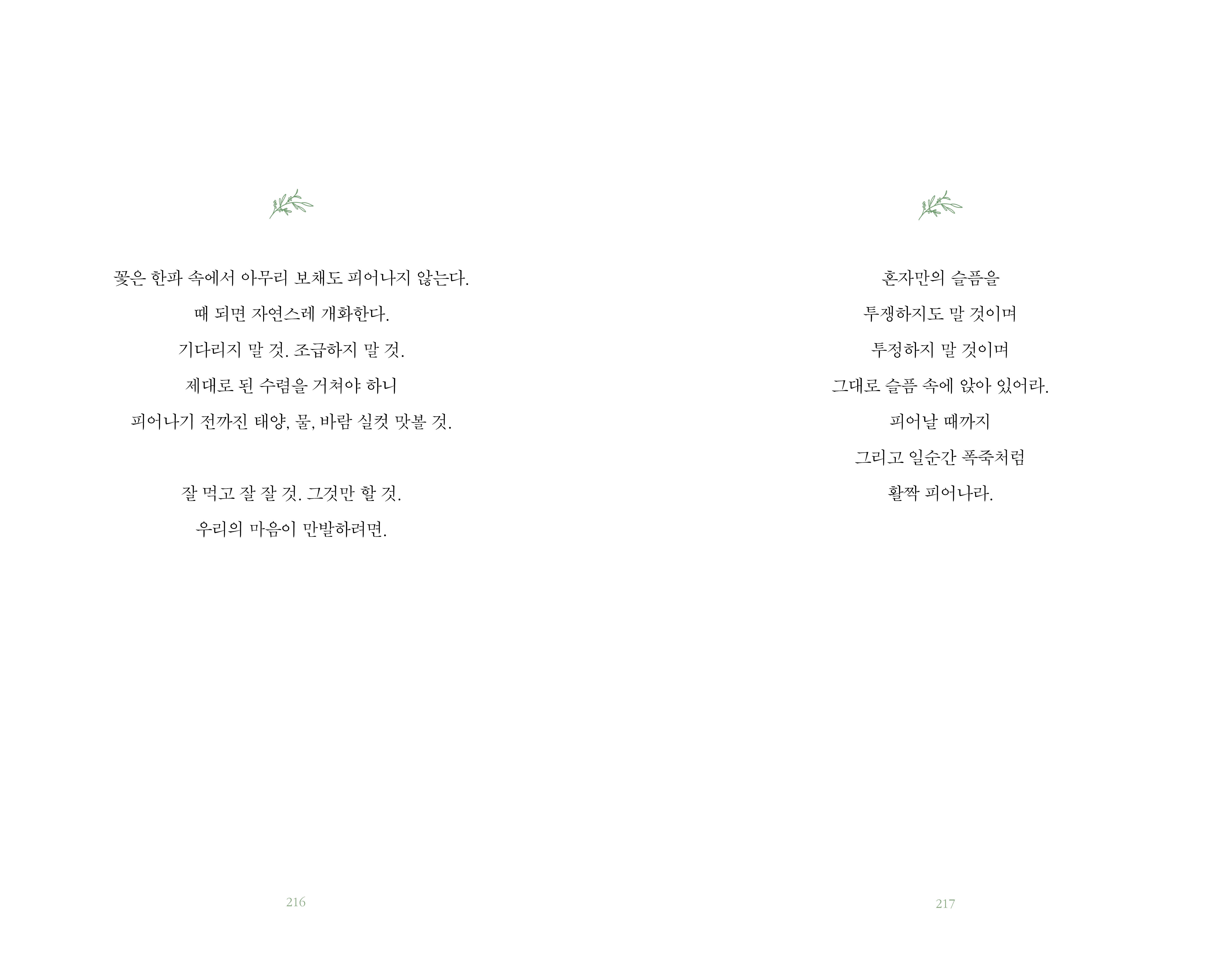 리타의 정원