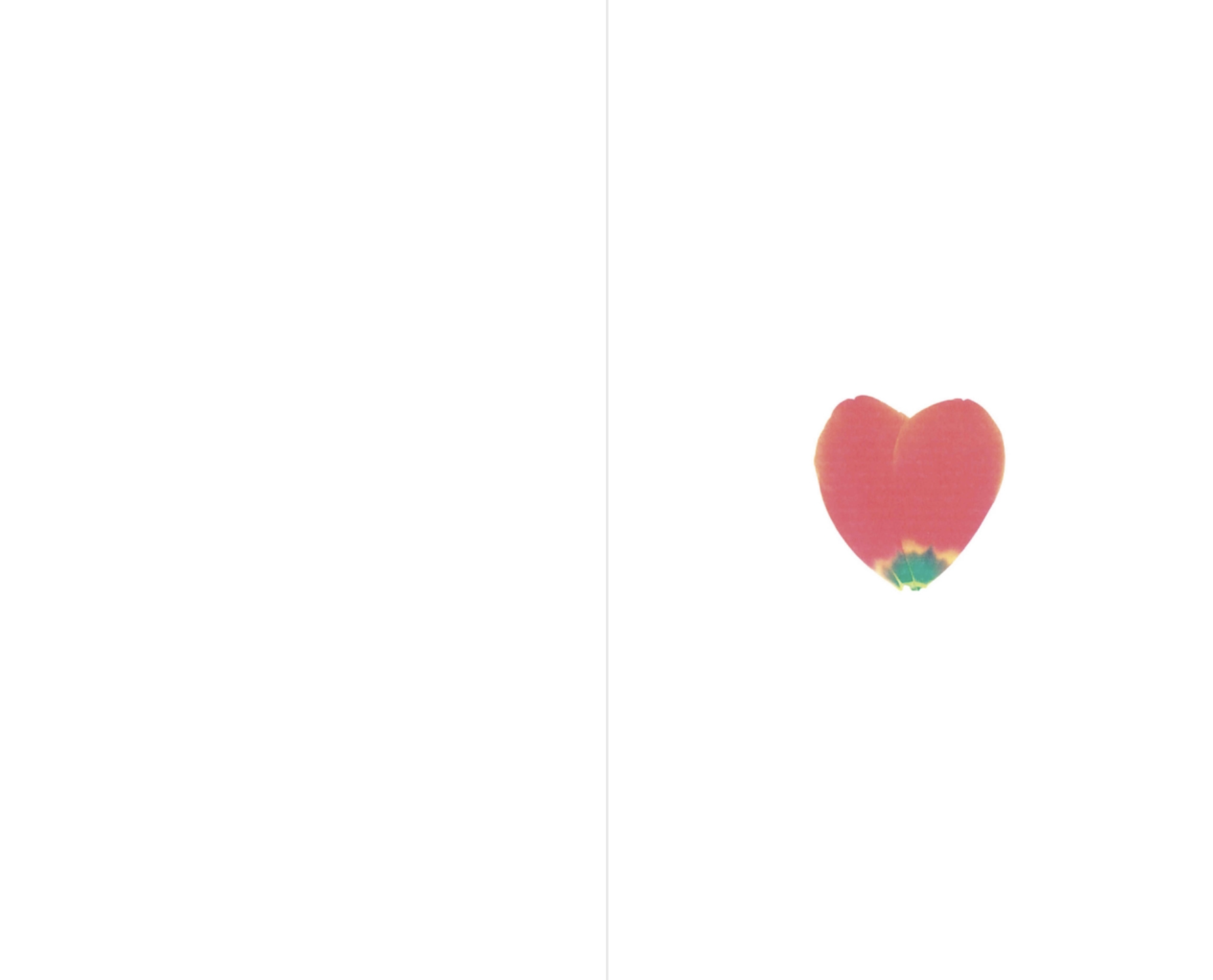 우리는 모두 잊어버리네