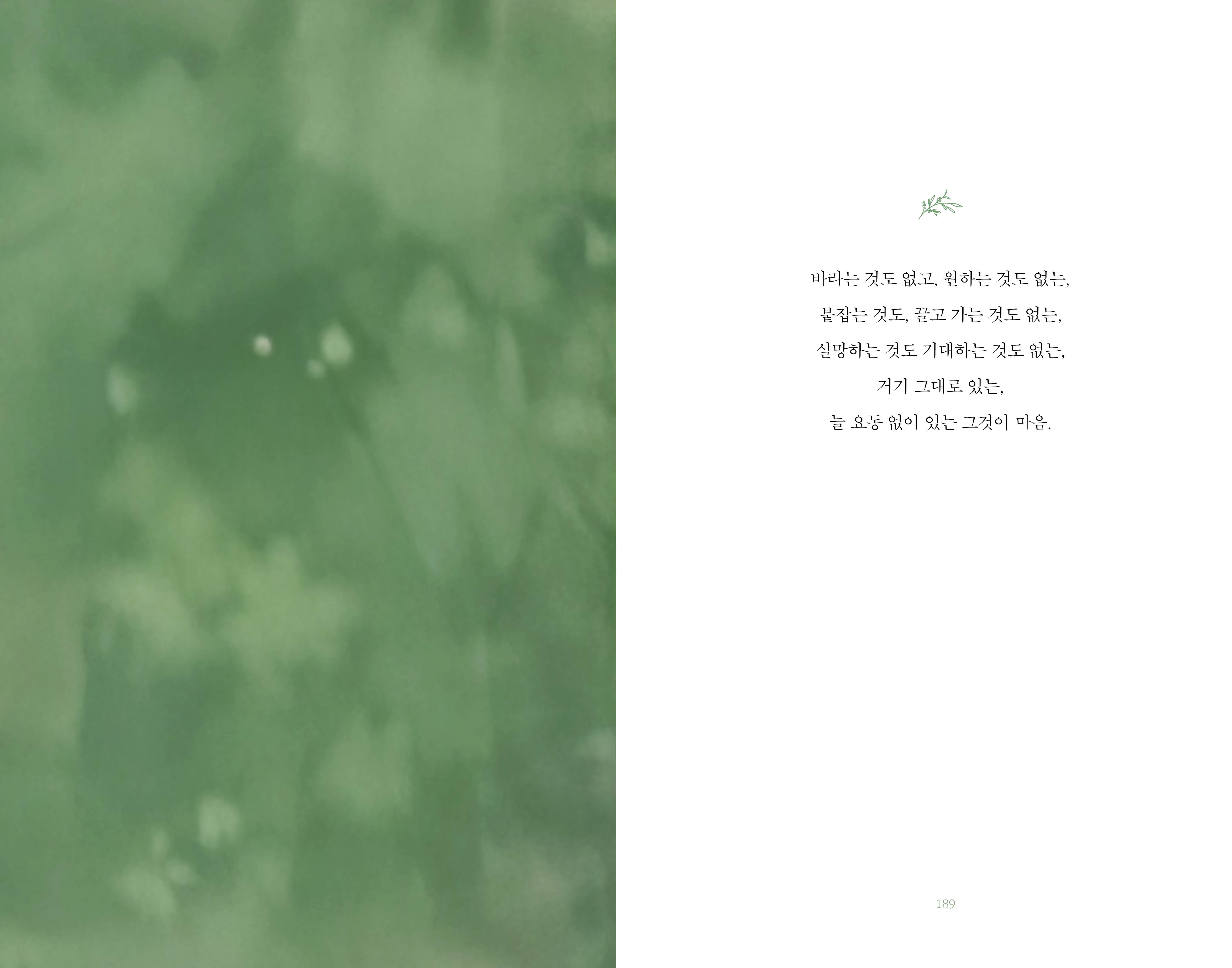 리타의 정원