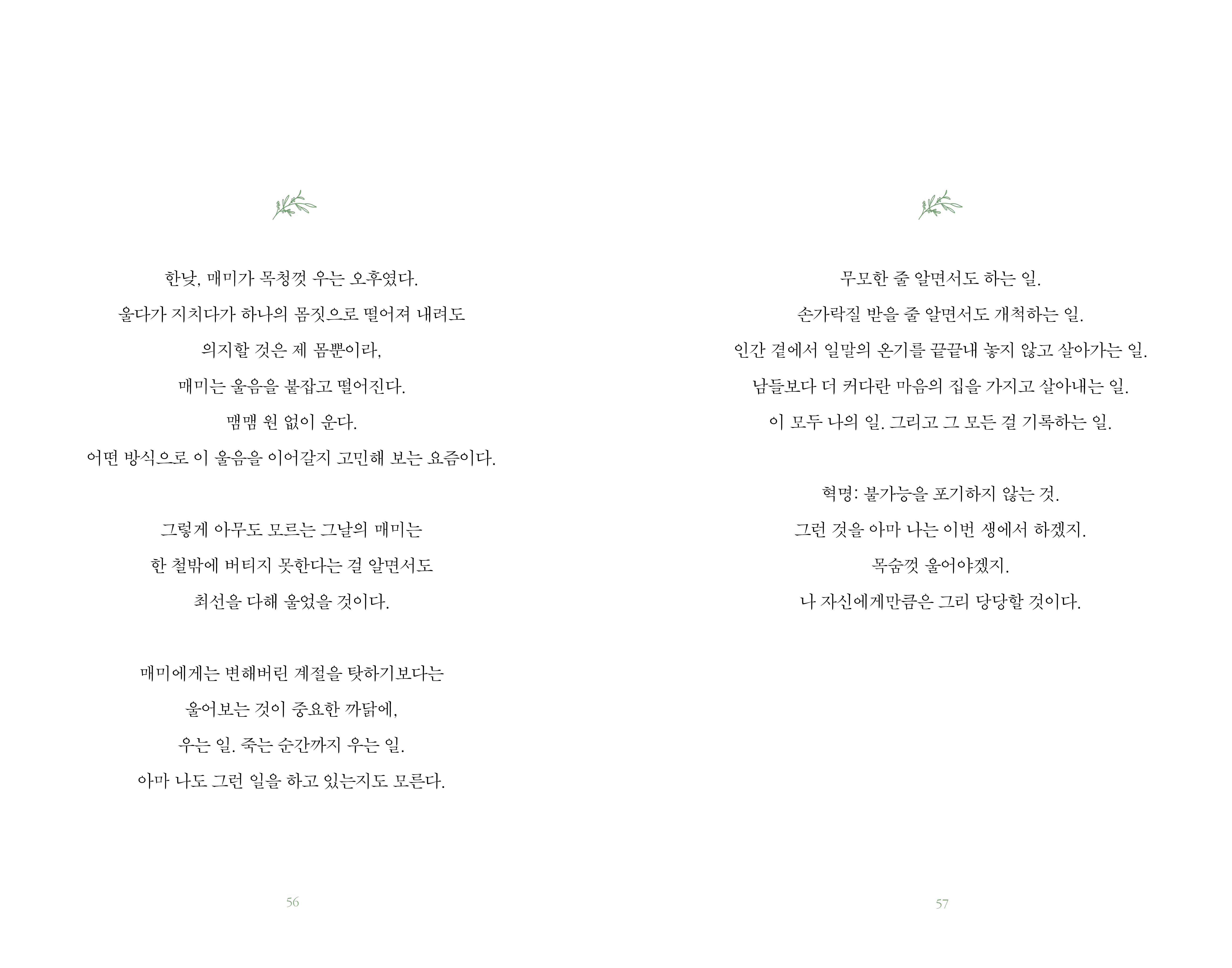 리타의 정원